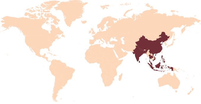 Mapamundi con la región asiática destacada