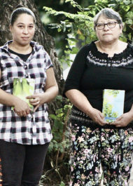 Paraguay Crop