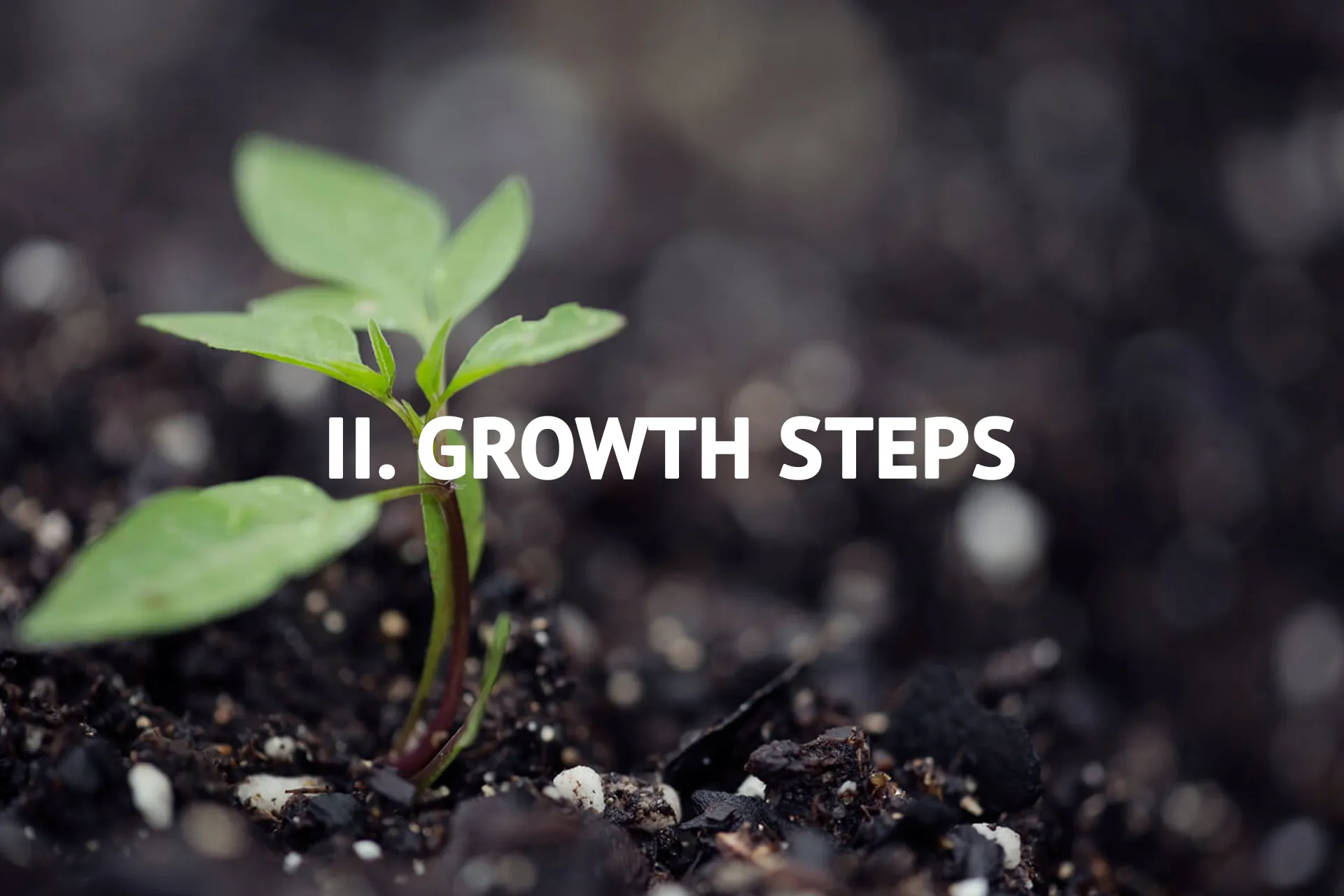 Foundational Steps 5