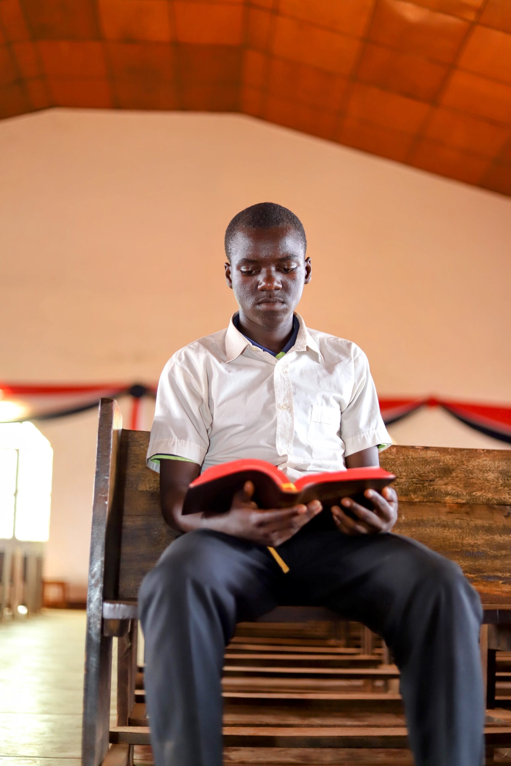 Ferdinand reading the Bible. The recourse that BLI gave to him